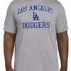 Fanatics MLB LA Dodgers Heather Gray Short Sleeve Tee Shirt 5XT 3 Fanatics MLB LA Dodgers Heather Gray Short Sleeve Tee Shirt 5XT -Big and Tall Outlet Dodgerstee 67790.1695399035