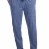 Hanes X-Temp Jersey Knit Lounge Pants 3 Colors L, XL, 2X, 3X -Big and Tall Outlet Hanespantdenim 77271.1643143013