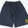 Fanatics Notre Dame Pigment Dyed Shorts, 1X, 2X, 3X, 4X