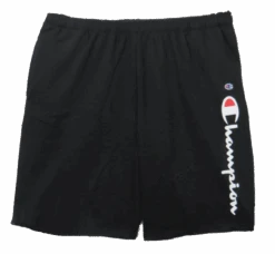Champion Script Logo Fleece Shorts 2 Colors 3XT