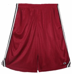 Champion Side Stripe Mesh Shorts 2 Colors LT, XLT 5 Champion Side Stripe Mesh Shorts 2 Colors LT, XLT -Big and Tall Outlet champmeshshort2 74529 92361.1712338105
