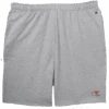 Champion Heather Gray Mountain Logo Fleece Shorts LT, 2XT, 3X -Big and Tall Outlet champofgrayshort 38447 87144.1712337149