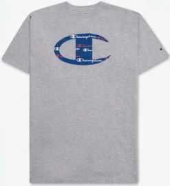 Champion Script In Logo Short Sleeve T Shirt 4 Colors Sizes 3XT, 4X, 4XT -Big and Tall Outlet chhgry1 73075.1743097713
