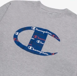 Champion Script In Logo Short Sleeve T Shirt 4 Colors Sizes 3XT, 4X, 4XT -Big and Tall Outlet chhgry2 70704.1743097734