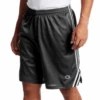 Champion Side Stripe Mesh Shorts 2 Colors LT, XLT -Big and Tall Outlet chmeshstripshrtchar 48664 84214.1712338096