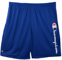 Champion Script Logo Mesh Shorts 2 Colors XLT, 2X