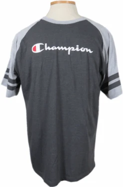 Champion Raglan Sleeve Stripe Tee XLT, 2X, 2XT, 3X, 3XT, 4X
