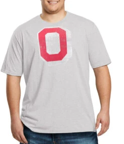 Profile Ohio State Vintage Logo Heather Gray Tee 2X