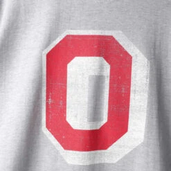 Profile Ohio State Vintage Logo Heather Gray Tee 2X -Big and Tall Outlet ohiostatebigoheathercloseup 79479.1568130246
